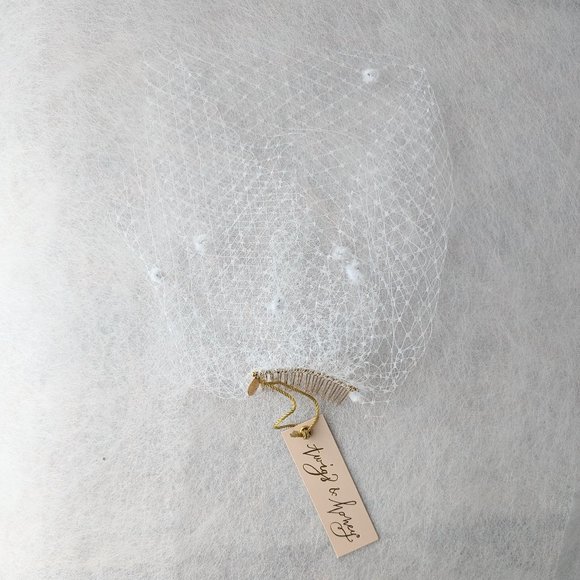 Twigs and Honey Mini Dotted Birdcage Veil - Picture 1 of 3